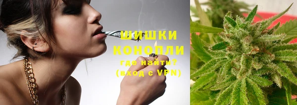 хмурый Дмитров