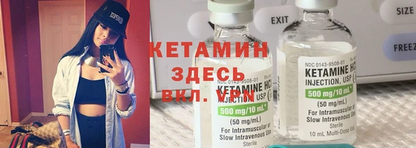 сатива Горняк