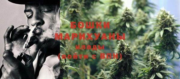 сатива Горняк