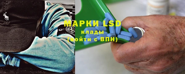 сатива Горняк