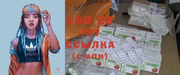 сатива Горняк